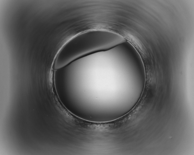 X0000096140900200801181130