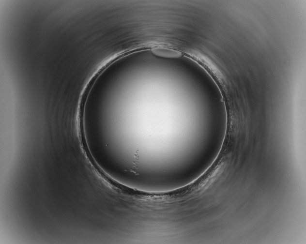 X0000096140902200801181130