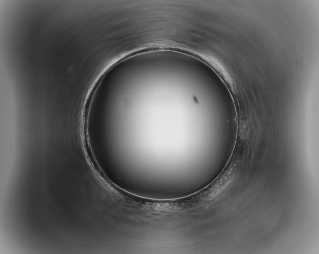 X0000096140903200801181130