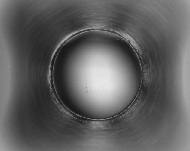 X0000096140904200801181130