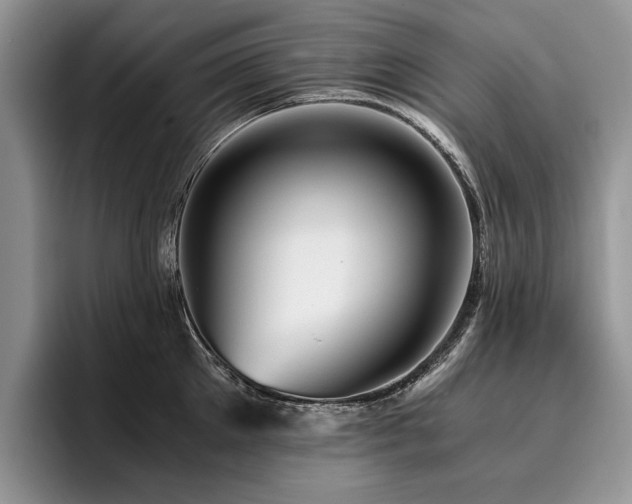X0000096140905200801181130