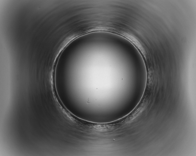 X0000096140906200801181130