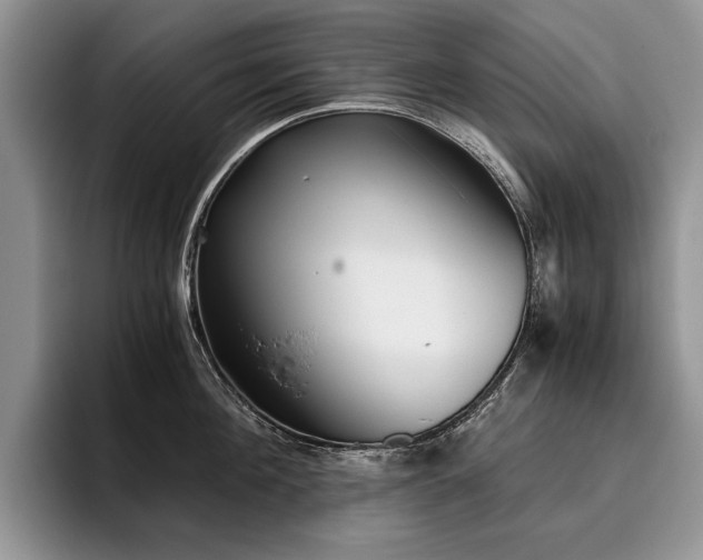 X0000096140908200801181130