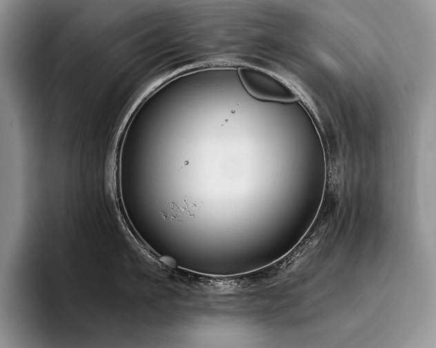 X0000096140911200801181130