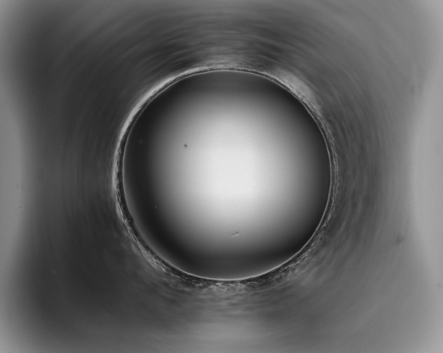 X0000096140912200801181130