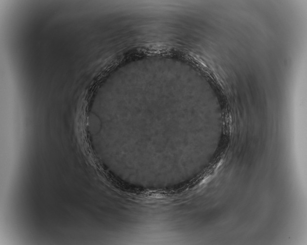 X0000096140913200801181129