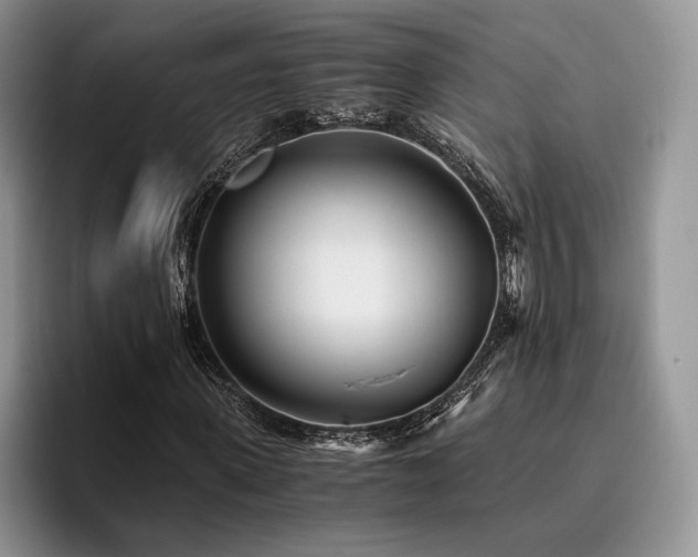 X0000096140915200801181129