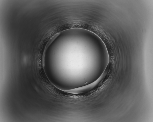 X0000096140916200801181129