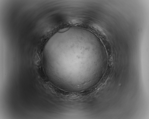 X0000096140917200801181129