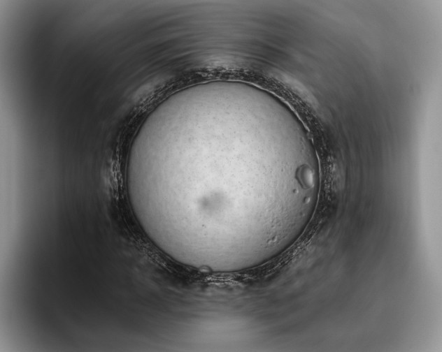 X0000096140918200801181129