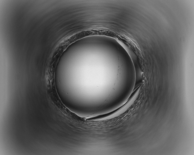 X0000096140920200801181129
