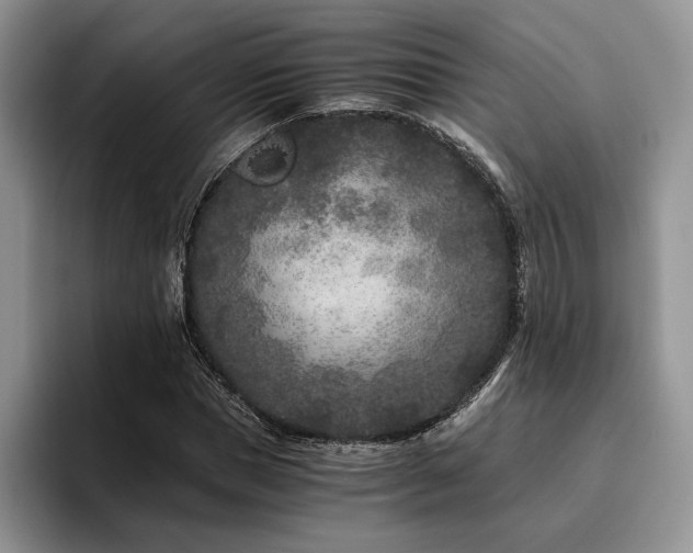 X0000096140921200801181129