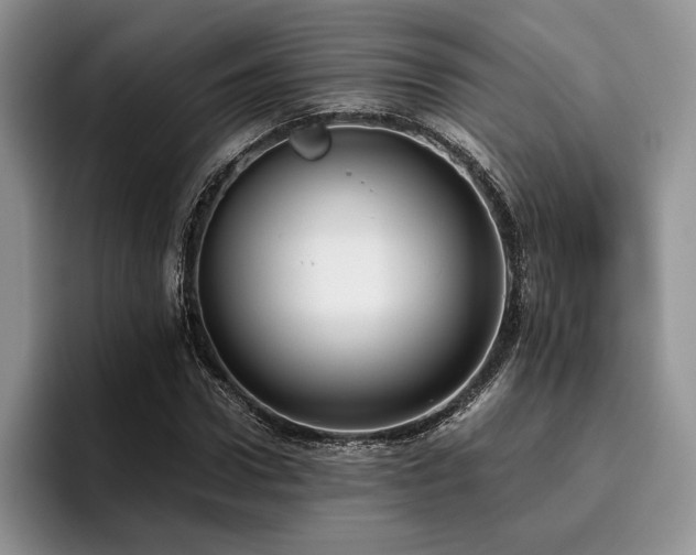 X0000096140922200801181129