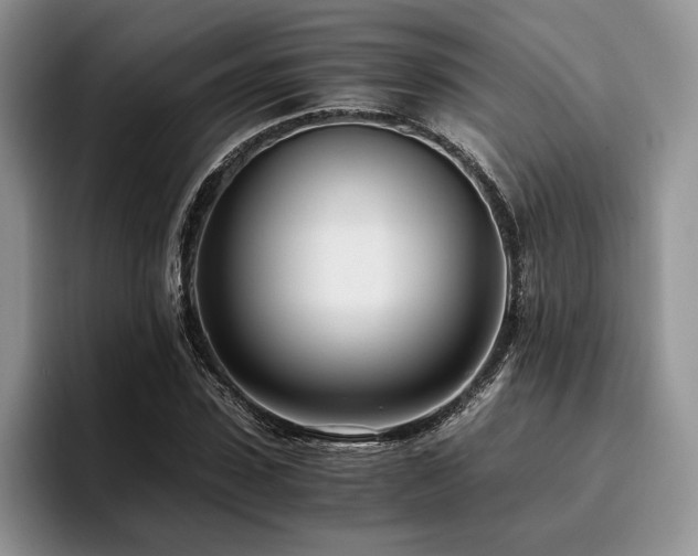 X0000096140923200801181129