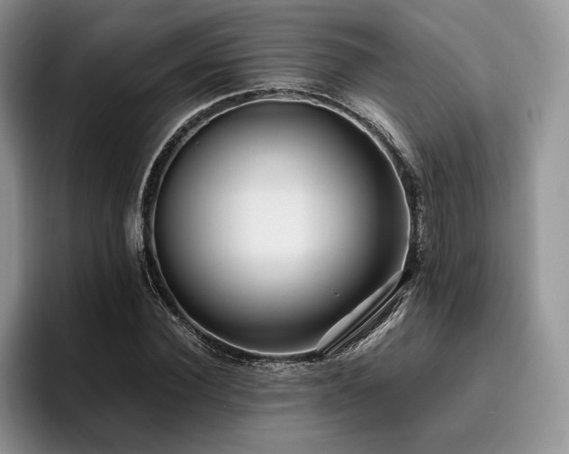 X0000096140924200801181129