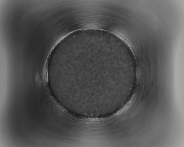 X0000096140925200801181129