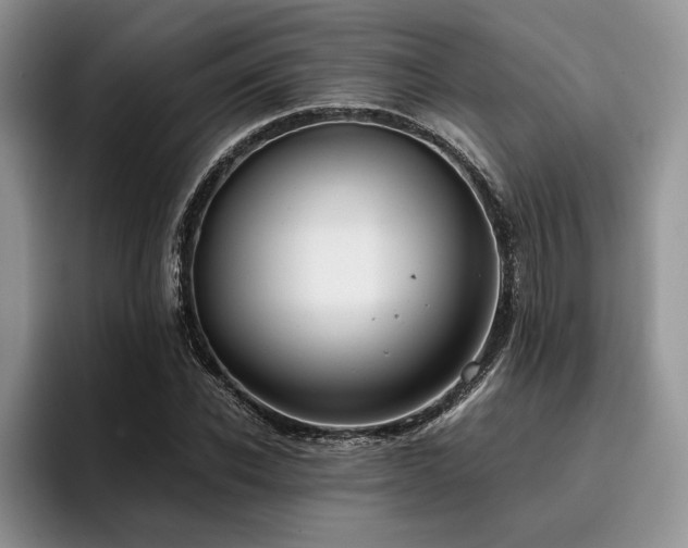 X0000096140926200801181130