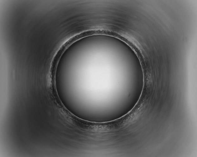 X0000096140927200801181130