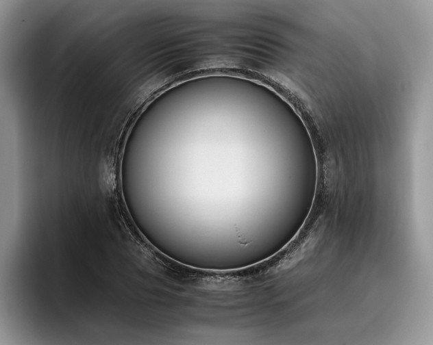 X0000096140929200801181130
