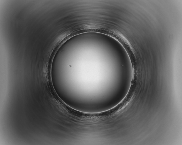 X0000096140930200801181130