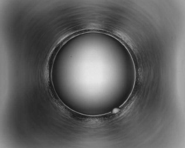 X0000096140931200801181130