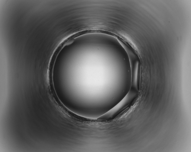 X0000096140932200801181130
