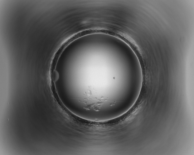 X0000096140935200801181130