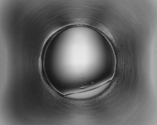 X0000096140936200801181130
