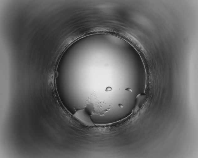 X0000096140937200801181130