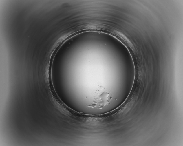 X0000096140938200801181130