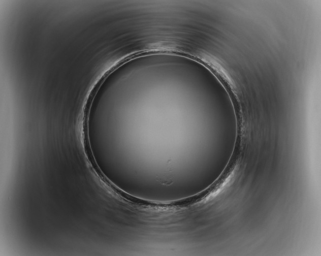 X0000096140941200801181130