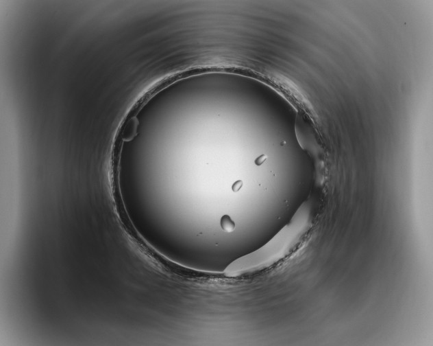 X0000096140942200801181130