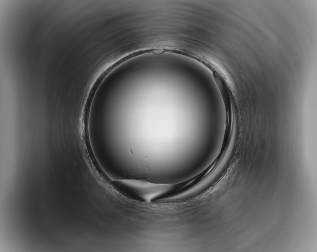 X0000096140944200801181130
