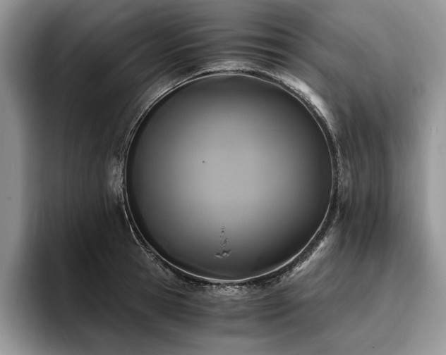 X0000096140945200801181130