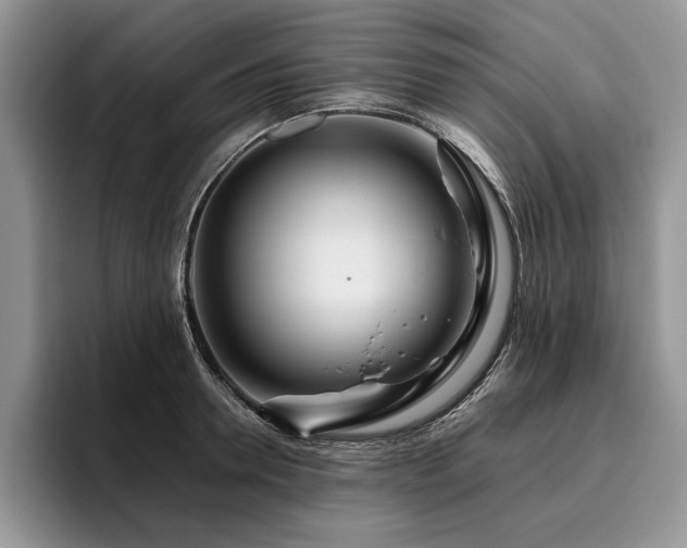 X0000096140946200801181130
