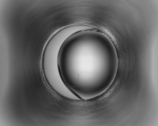 X0000096140948200801181130