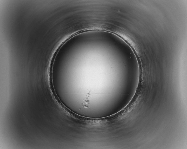 X0000096140949200801181130