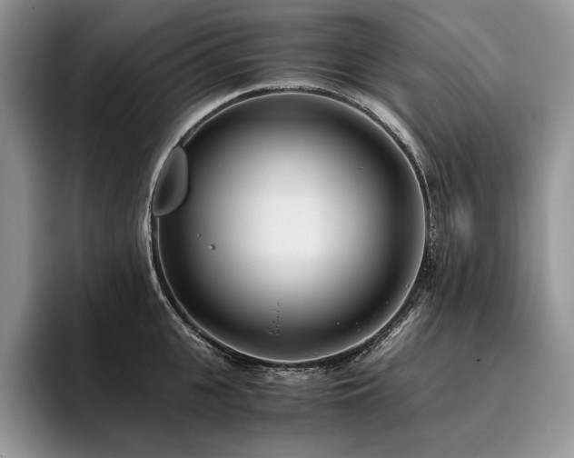 X0000096140951200801181130