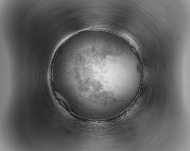 X0000096140952200801181130