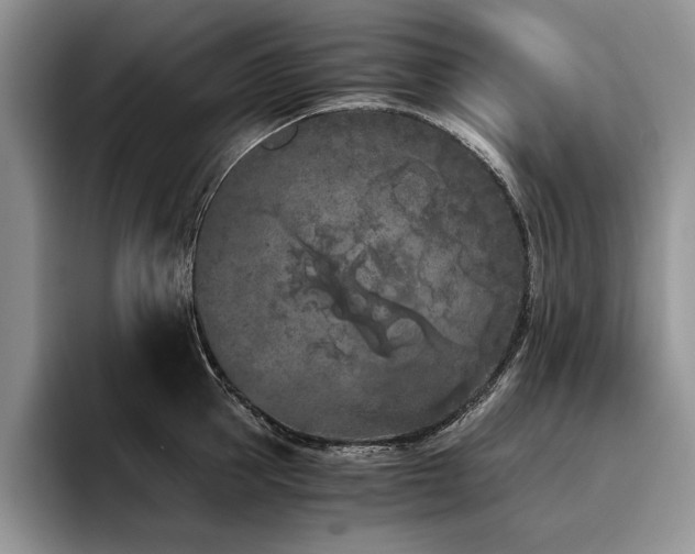 X0000096140953200801181130
