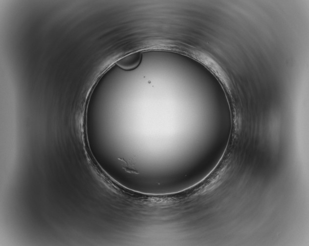 X0000096140954200801181130