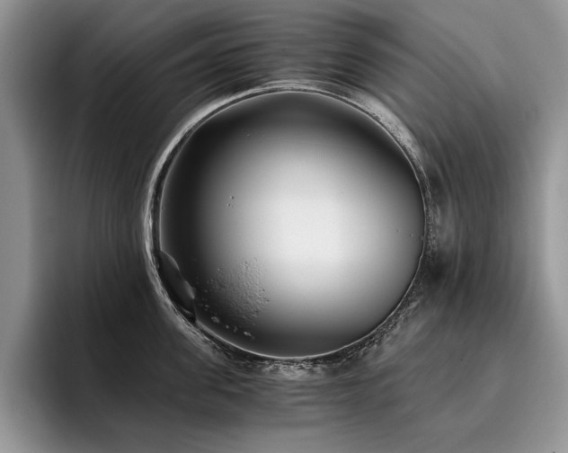 X0000096140955200801181130