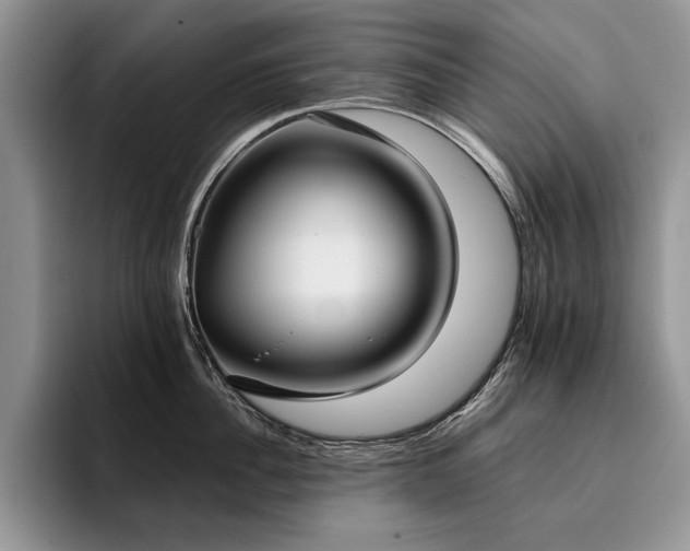 X0000096140956200801181130