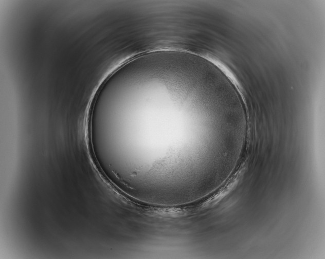 X0000096140957200801181130