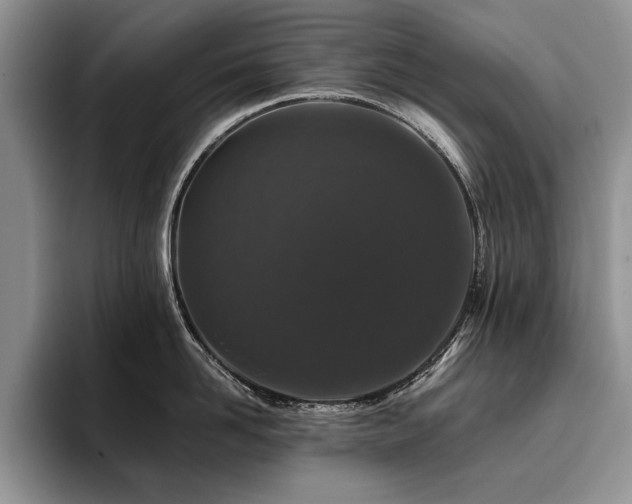 X0000096140958200801181130