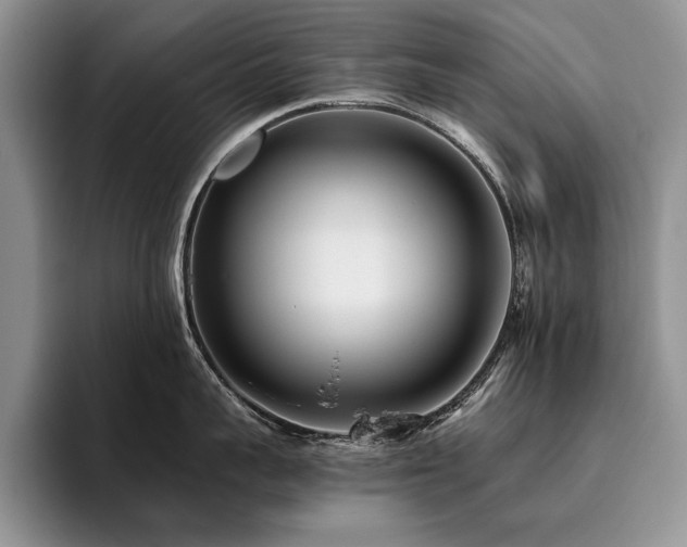 X0000096140959200801181130