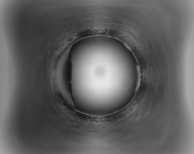 X0000096140961200801181129