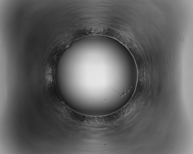 X0000096140962200801181129