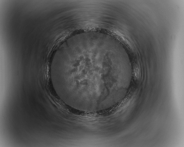 X0000096140964200801181129