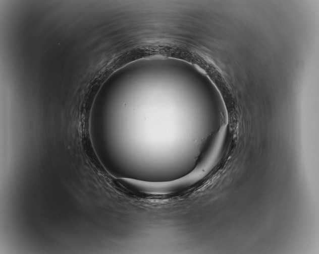 X0000096140965200801181129